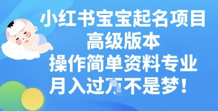 小红书宝宝起名项目高级版本,操作简单,资料专业,月入过W-小宇网络社区