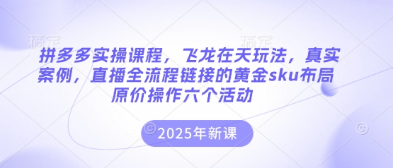 拼多多实操课程,飞龙在天玩法,真实案例,直播全流程链接的黄金sku布局原价操作六个活动-小宇网络社区
