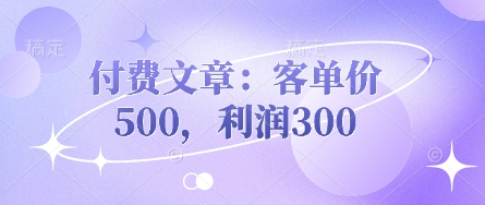 付费文章:客单价500,利润300-小宇网络社区