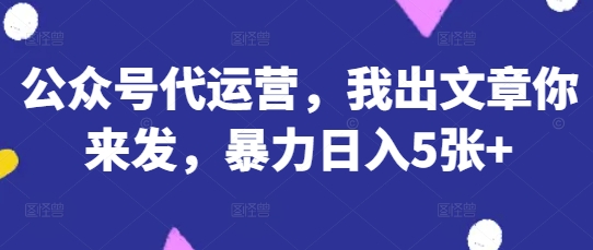 公众号代运营，我出文章你来发，暴力日入5张+【揭秘】-小宇网络社区