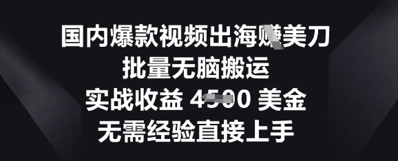 国内爆款视频出海挣美刀，批量无脑搬运，实战收益4.5k，无需经验直接上手-小宇网络社区