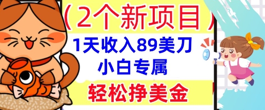 2个新项目，轻松挣美金， 1天收入89美刀，小白专属，干货分享-小宇网络社区