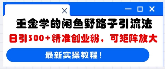 重金学的闲鱼野路子引流法,日引300+精准创业粉,可矩阵放大-小宇网络社区