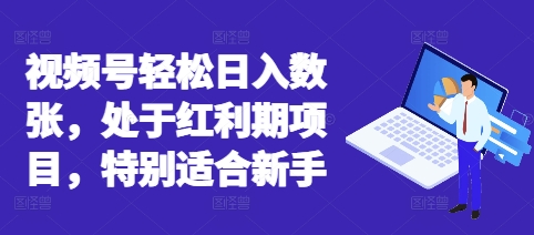 视频号轻松日入数张，处于红利期项目，特别适合新手-小宇网络社区
