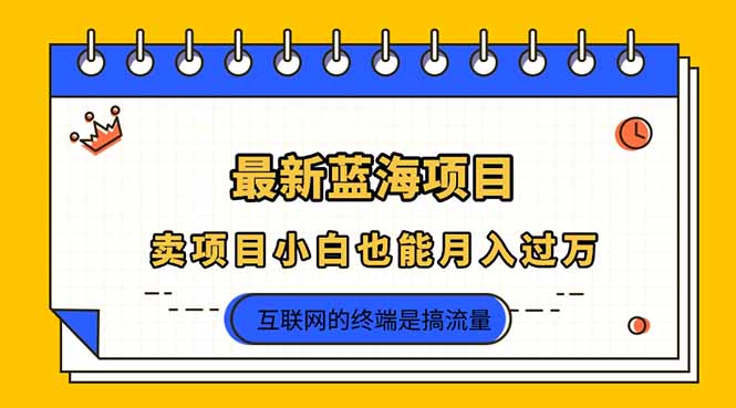 (14289期)2025年最新蓝海项目,卖项目小白也能月入过万-小宇网络社区