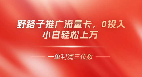 0门槛推广流量卡,一单收益上百,0投入,小白月入过W-小宇网络社区