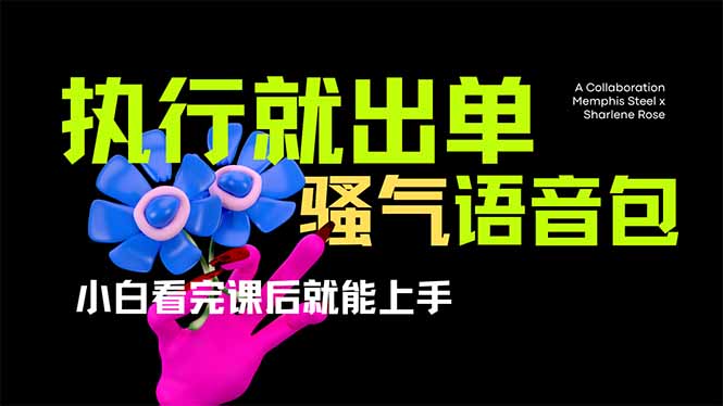(14170期)爆火全网的开车导航骚气语音包,只要执行就出单,小白看完课程就能实操...-小宇网络社区