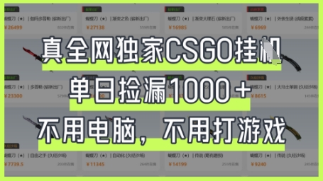 真全网独家CSGO挂G，单日捡漏1k+【揭秘】-小宇网络社区